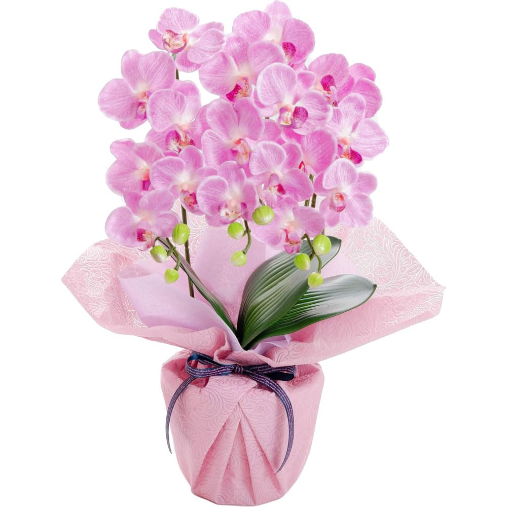 Amazon｜胡蝶蘭 造花 光触媒 花 ギフト プレゼント お祝い 御祝 開店