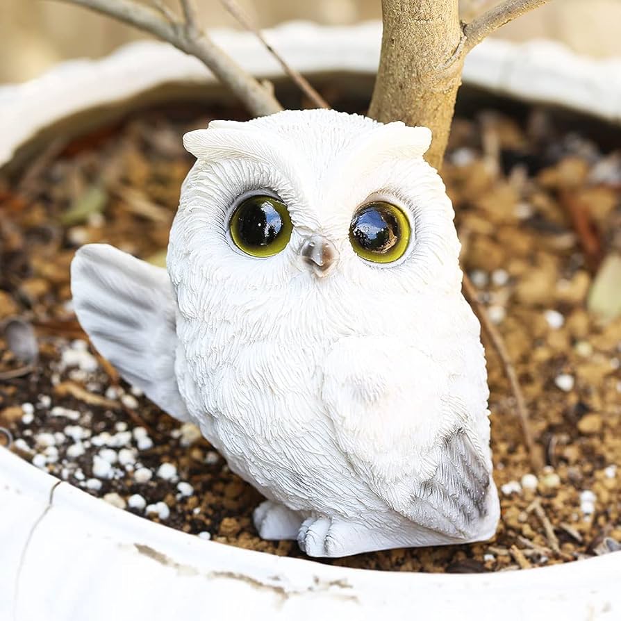 Amazon.co.jp: [デバリエ] mo03 みみずくの置物 ミミズク レジン製