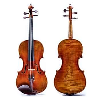 手作り小型バイオリン （約22cm） Amazon.co.jp: バイオリント