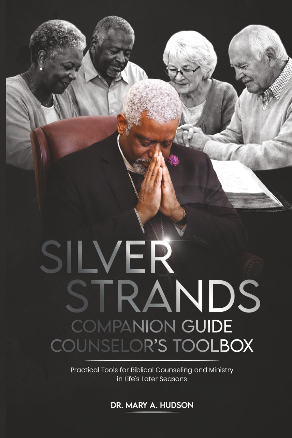 SILVER STRANDS COMPANION GUIDE COUNSELOR'S TOOL BOX: Practical Tools for Biblical Counseling And Ministry In Life's Later Seasons (SILVER STRANDS: ... COUNSEL AND MINISTRY IN LIFE’S LATER SEASONS)