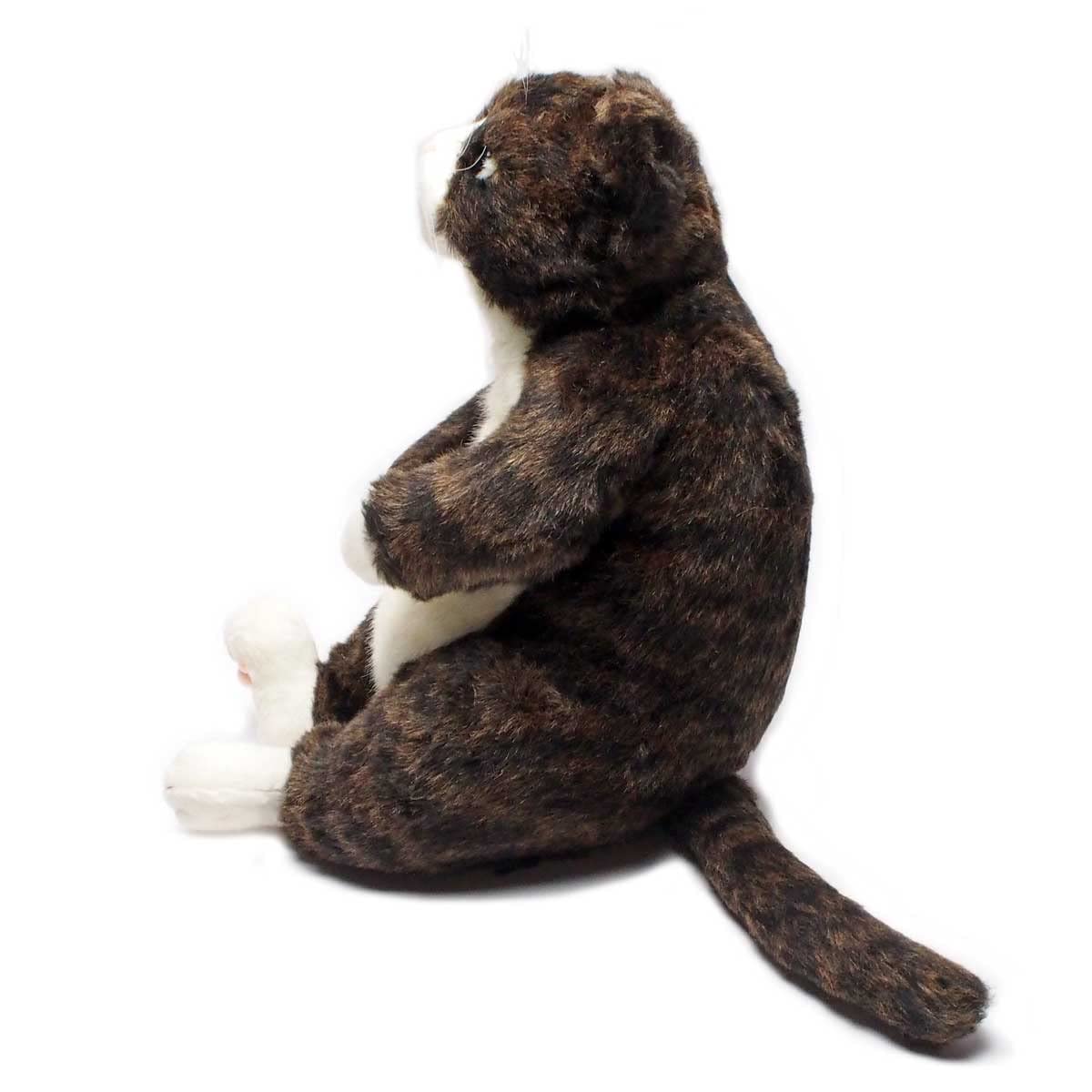 Amazon.co.jp: 猫 ぬいぐるみ 金之助 Cuddly カドリー 猫グッズ 猫雑貨