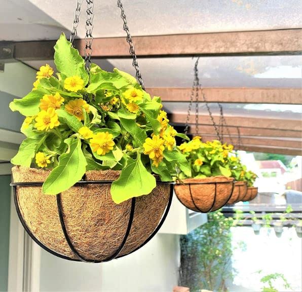 Hanging Planters with Coco Liners - 3 Pack, 12 Inch Hanging Baskets for Plants Outdoor, Large Hanging Plant Pot Flower Metal Wire Round Holder Hanger Hook Chain Deck Porch Garden Balcony Outside Decor (B0B3F9SMYW) Amazon Price History, Amazon Price Tracker