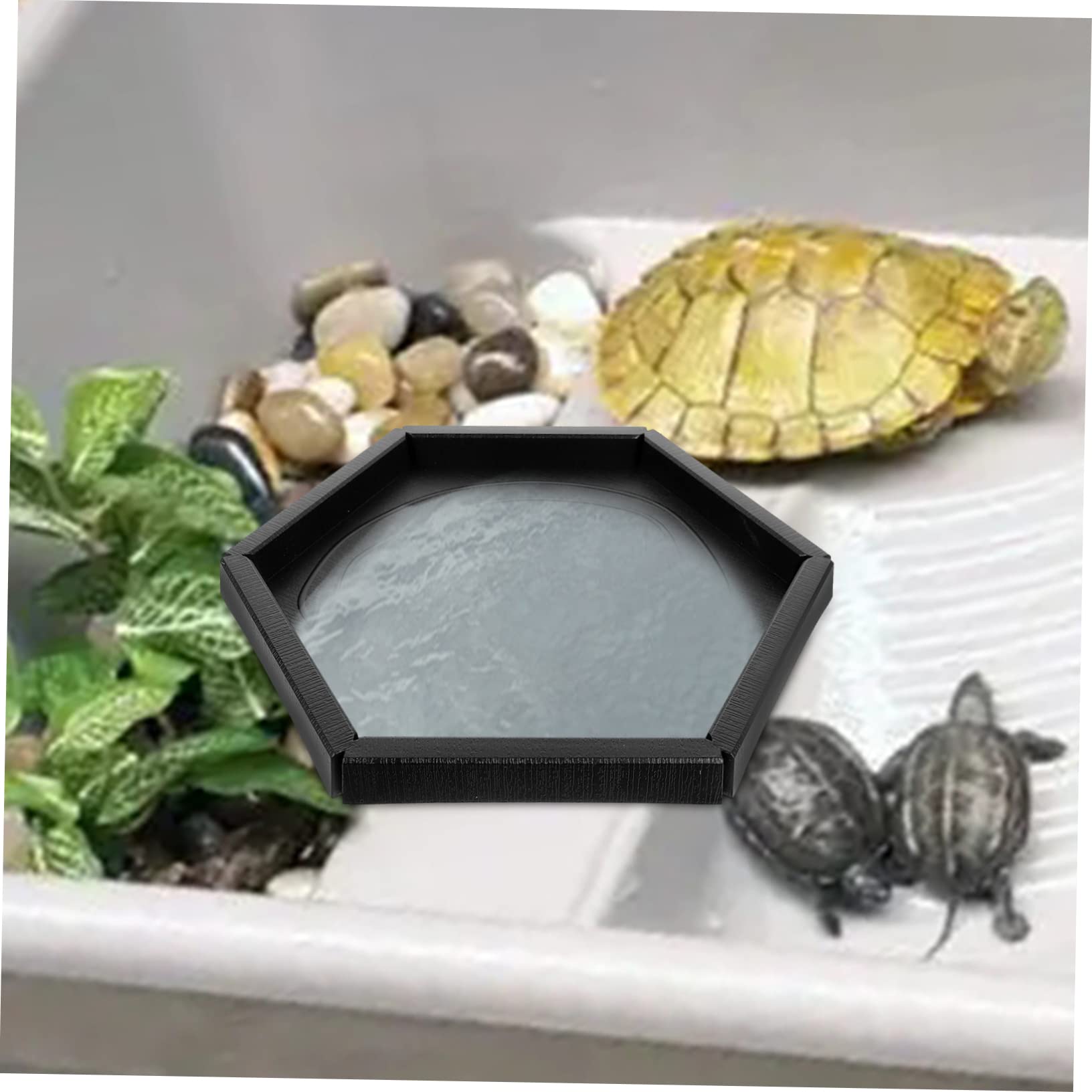 Toddmomy 3Pcs Reptile Feeding Bowl Durable Pet Dish for Tortoise Lizard and Animals Non Slip Food and Water Bowls for Reptile Tanks and Habitats