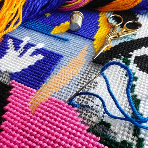 Image of Art Needlepoint Kit for Adults and Beginners - The Sorrows of the King by Henri Matisse 16″ x 16″ with Clear, Precise Printed Design on Cotton Canvas; Includes 2 Needles, Yarn, and Easy-Read Chart