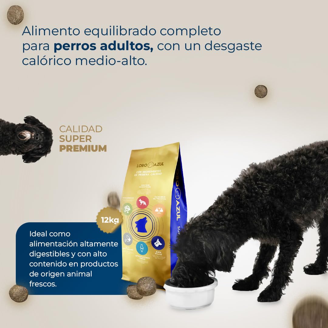 Pienso para Perros Adultos sin Cereales de Cordero Fresco - Alimento Natural e Hipoalergénico, Monoprotéico para Perros con Alta Actividad Física - Grain Free - 12kg - Lobo Azul Cordero