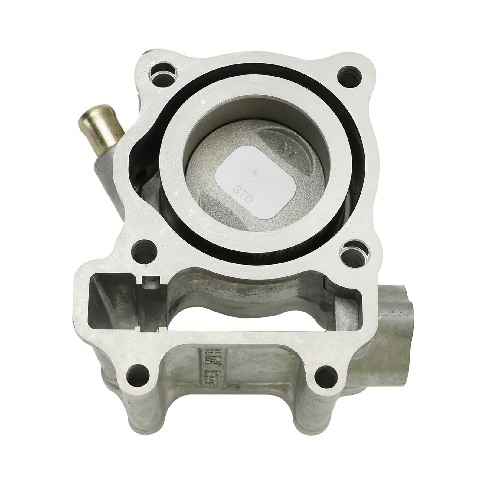 Topteng 125cc Cylinder Kit Apto para Honda FES125 S-Wing Pantheon 125 03-2012 SH125 01-2012