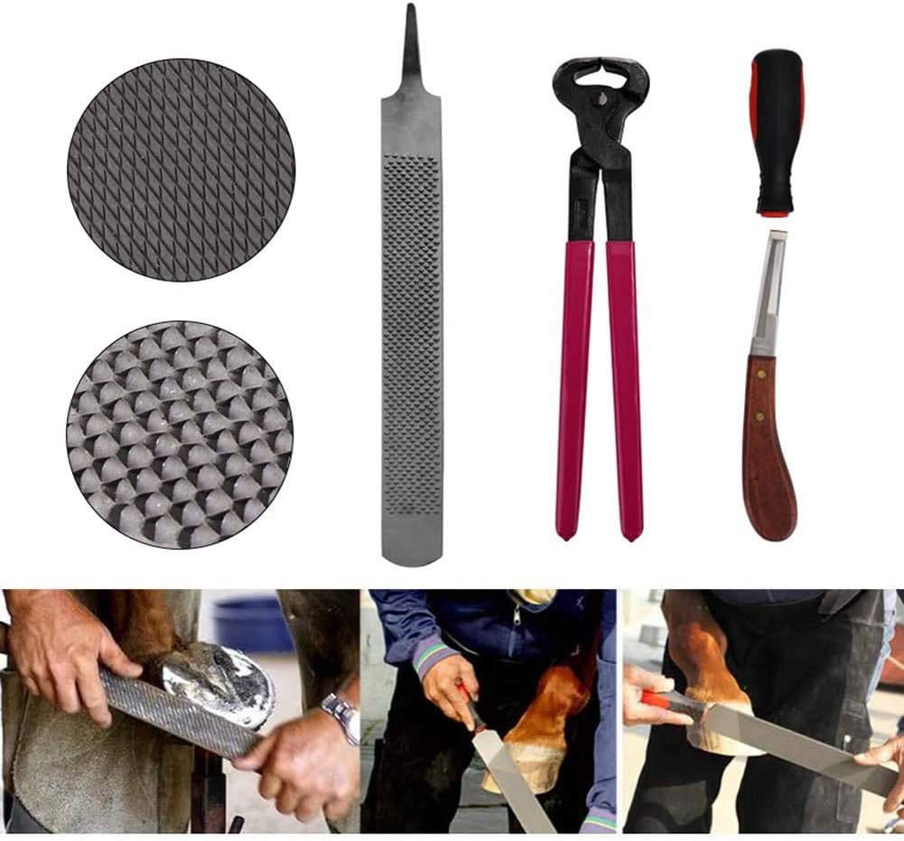 Kit di utensili per maniscalco