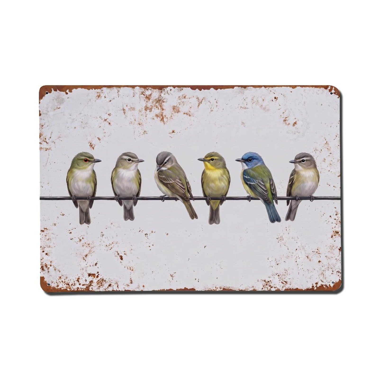 Vintage Retro Birds Vireo Metal Tin Sign
