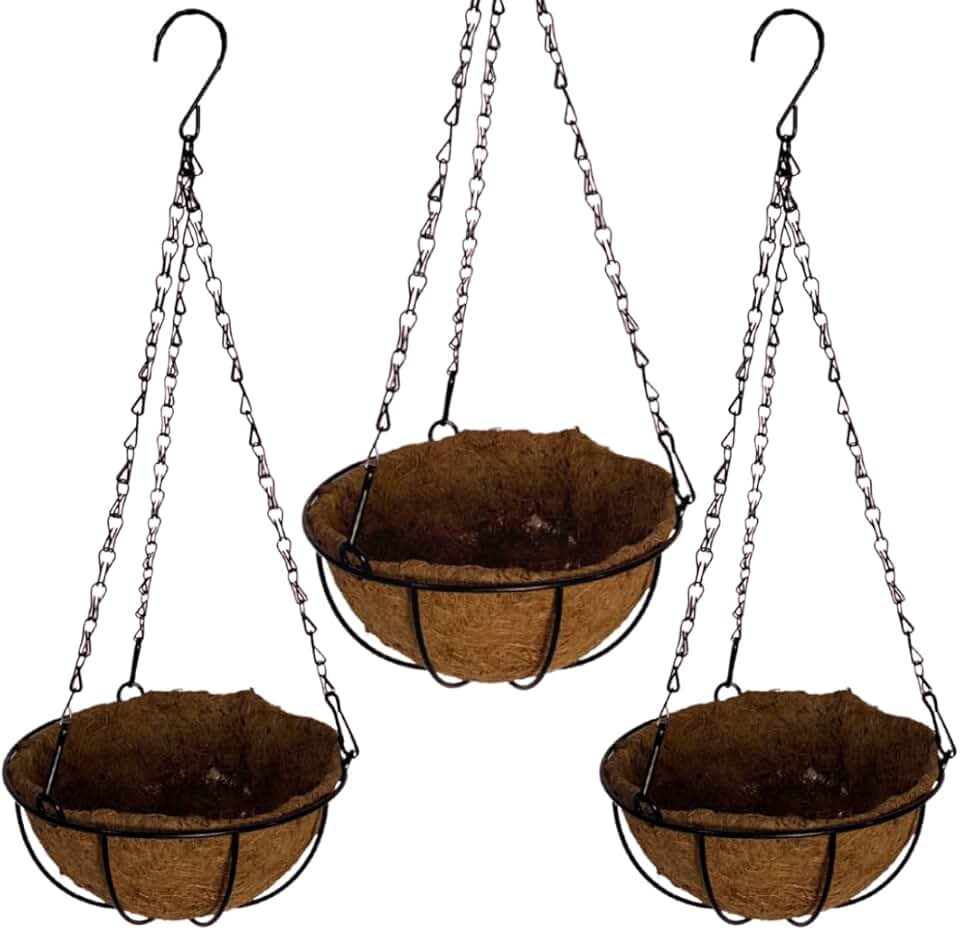 Vaso de Fibra de Coco 20cm de Plantas Suspenso com Corrente (3, 25cm)