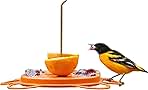 Birds Choice Oriolefest Oriole Bird Feeder | Hanging Bird Feeder for Jelly, Oranges & Nectar | 4 Feeding Ports & Trays with Ant Moat & Bee Guards | Sturdy for Garden & Backyard | 12 oz, Orange