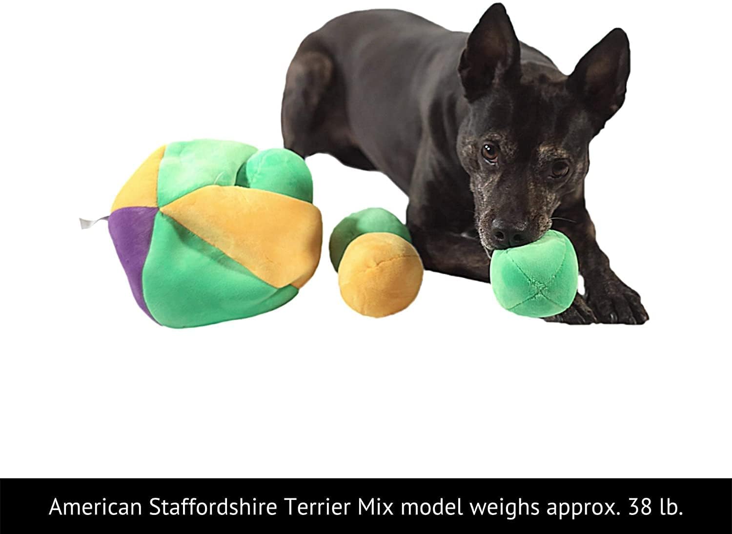 Midlee Hide a Ball Dog Puzzle Toy with 8 Plush Squeaker Balls (Large)