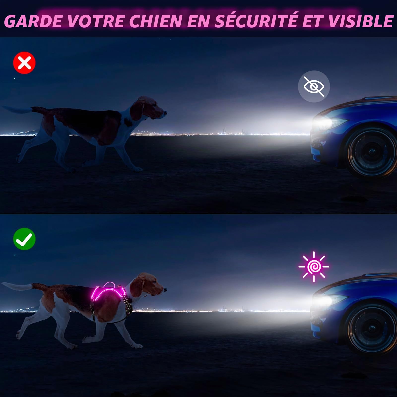 Harnais lumineux anti-traction pour chien avec poignée à DEL (taille L, violet)