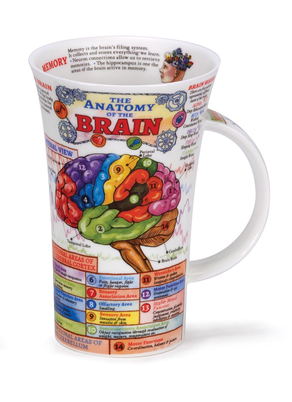 Glencoe Biology Bone China Mug The Brain