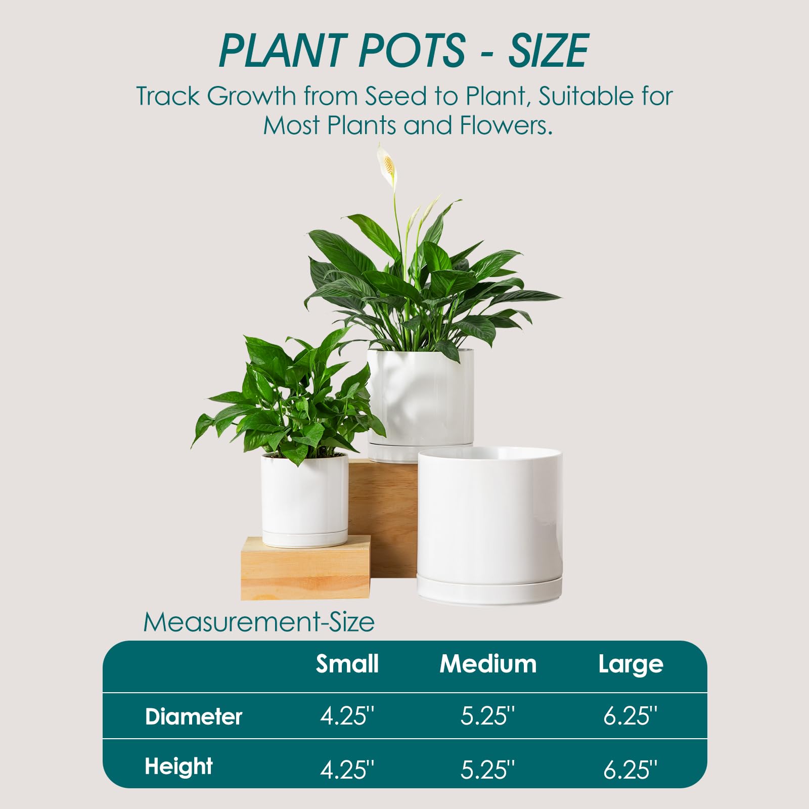 Macetas de cerámica para plantas de interior, macetas de cerámica de 6.25 + 8.25 + 10.25 pulgadas para plantas, macetas con agujeros de drenaje, macetas para plantas de interior de casa 3