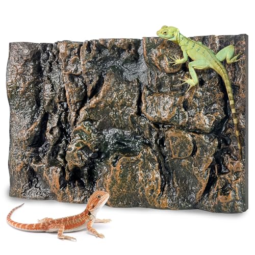 Image of 17.7x11.8in Rock Terrarium Background, Yellow
