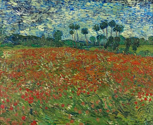 Image sur toile de coquelicots pour créer une ambiance nature dans votre salon