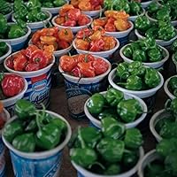 Vista 3 de Salsa picante de pimienta Rapture Escorpión de Trinidad.