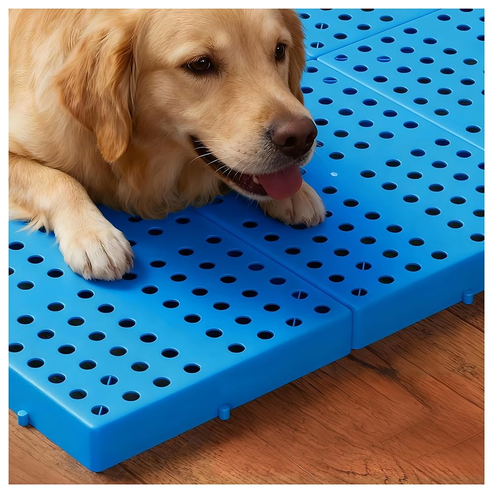 Palé De Polietileno Para Almacenamiento En Sótanos | Plataformas Apilables Y Transpirables Con Ventilación, palé De Suelo Resistente A La Humedad Para Supermercados(60x50x5cm)