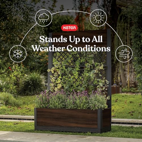 Image of Keter Outdoor Planter Box with Privacy Screen and Trellis - 26 Gallon Raised Garden Bed for Climbing Plants & Flowers - Wood-Look Resin, Weather-Resistant Divider for Patio, Balcony & Backyard