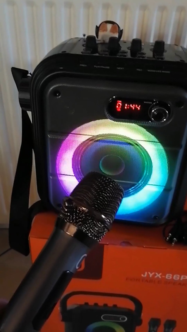 Altavoz Bluetooth JYX Karaoke Con Microfonos, Karaoke Microfono