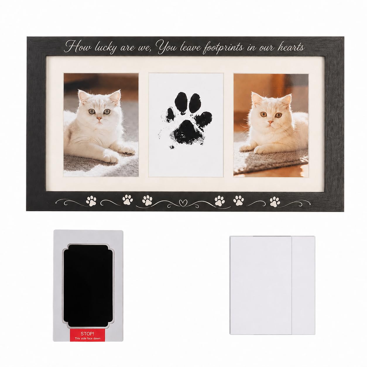Kit di cornici per impronte di zampe: kit per la stampa di zampe e naso per cani e gatti, senza disordine, tamponi di inchiostro puliti al tatto, cornice per ricordi, regalo commemorativo