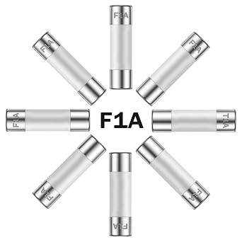 1A 250V 6x30MM Fast Blow Ceramic Fuses 1 Amp 250 Volt 0.24 x 1.18 Inch Fast-Acting Tube Fuse F1AL250V Pack of 10Pcs