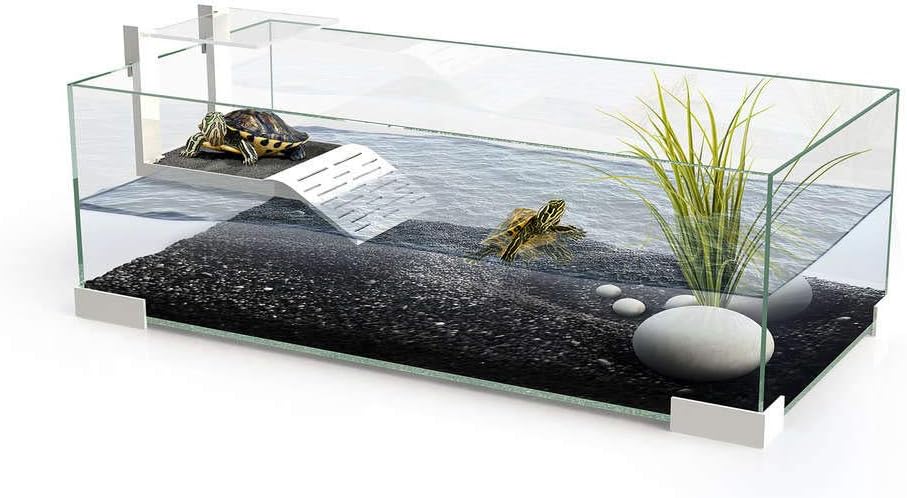 CIANO : Turtle Aquarium: Glass, 34.4L