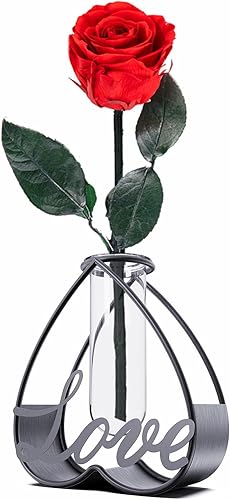 Miniatura 2 de Decoración del hogar, jarrones de metal con marco de arte de hierro, jarrones de centro de mesa de vidrio para flores secas y flores artificiales,