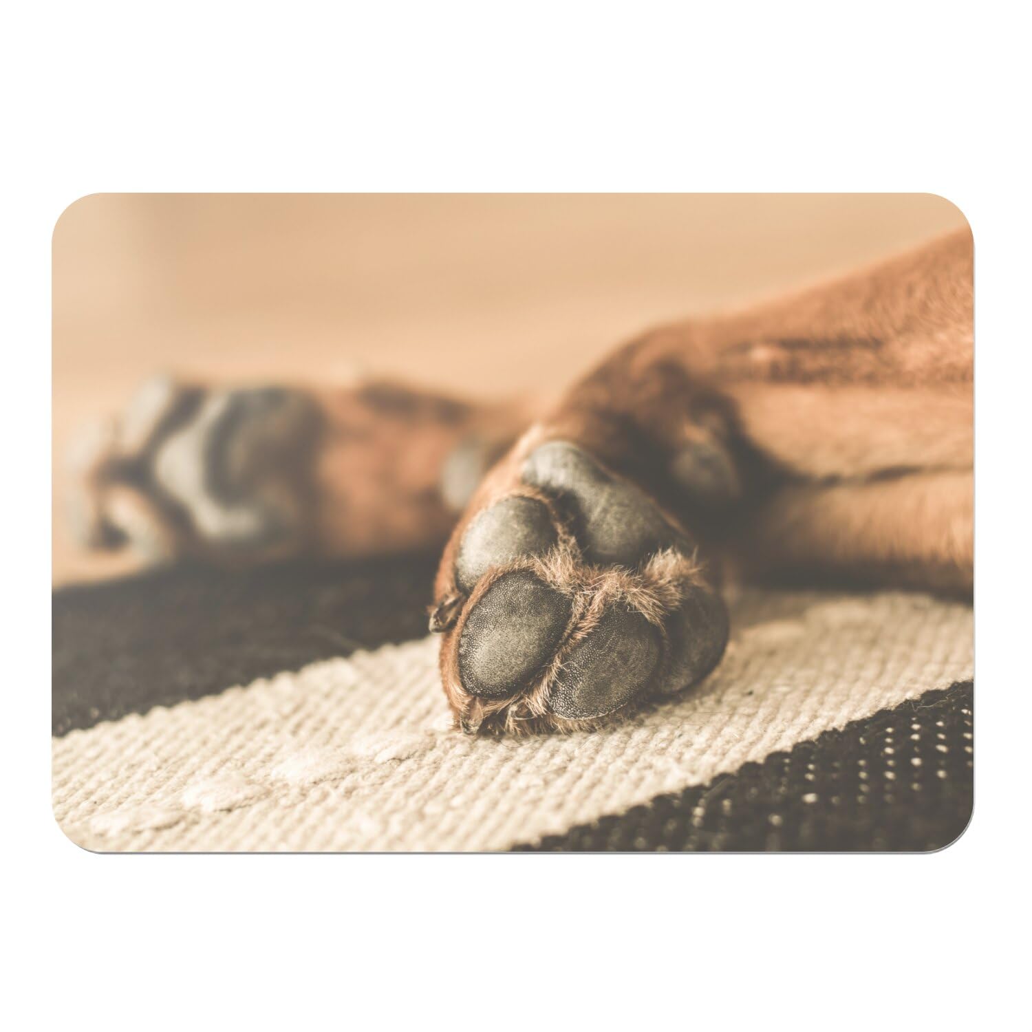 Sets de table antidérapants liège imprimé patte de chien grand format isolant