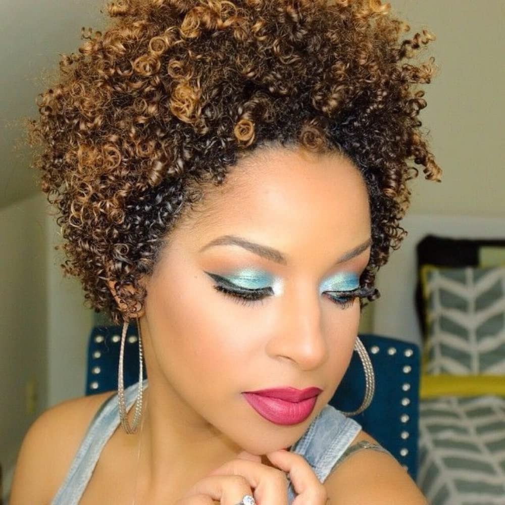 Ms Taj Short Afro Kinky Curly Human Hair Wigs for Black Women Brazilian Virgin Short Curly Afro Wigs None Lace 150% Density Unprocessed Afro Wig Human Hair Curly Machine Made (DX 4/33/30) DX 4/33/30 afro wig