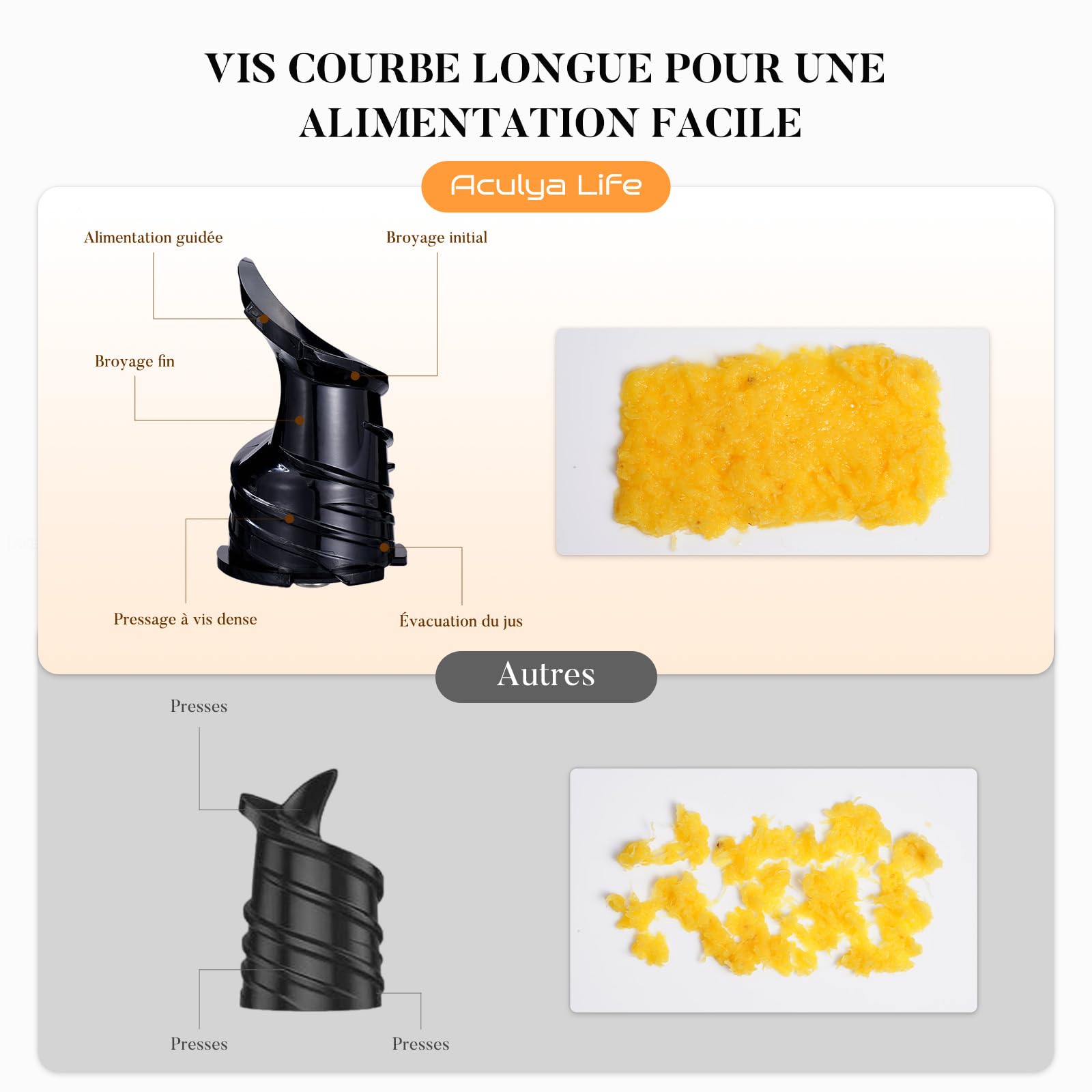 Extracteur de Jus Slow Juicer 130mm 1,9L 250W Marche Avant/Arrière Noir Mat