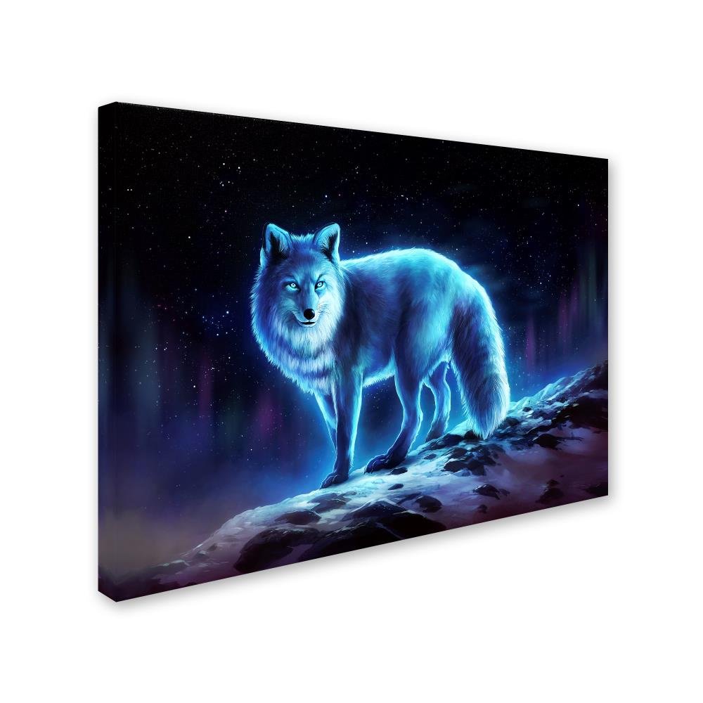 Amazon.com: Ice Fox by JoJoesArt, 14x19-Inch Canvas Wall Art