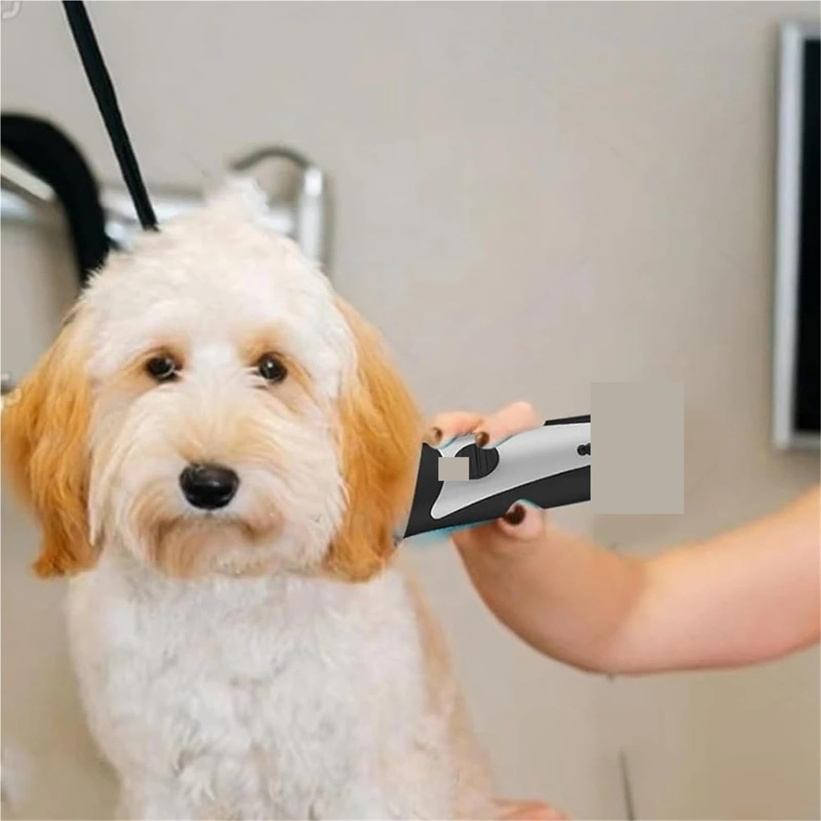 Tondeuse À Poils For Chiens Et Chats 5 En 1, Lame Réglable, Compatible Avec WAHL, Animal Clipper Arco, Bravura, Chromado, Creativa, Figura, Motion