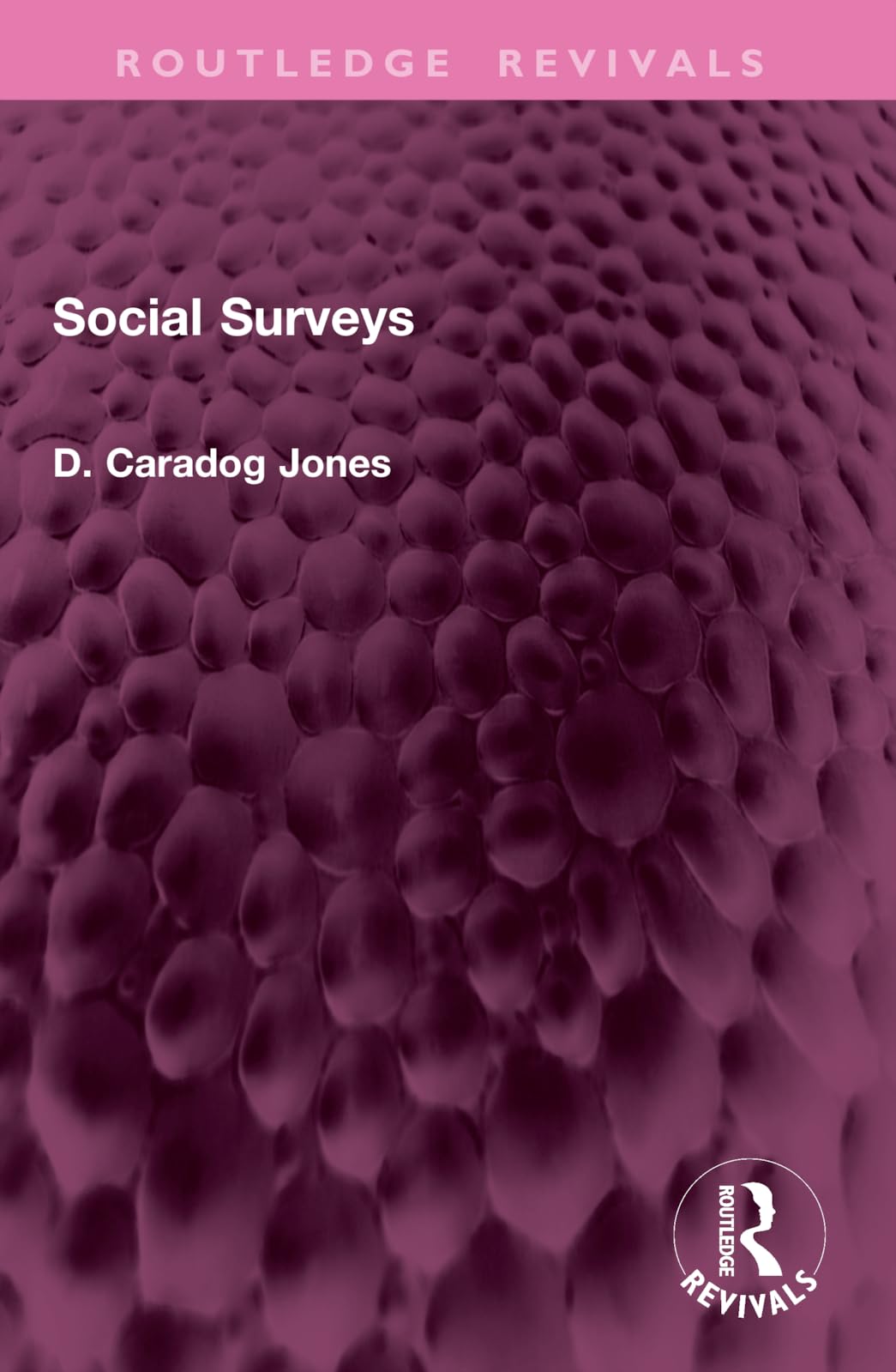 Social Surveys (Routledge Revivals)