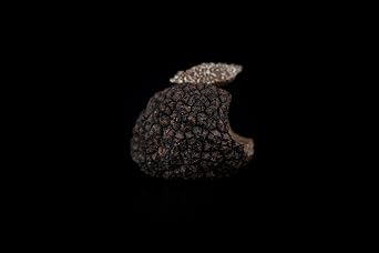 EXTREMELY FRESH WHITE & BLACK ITALIAN TRUFFLES From Italy, (Black, 4 Ounce)