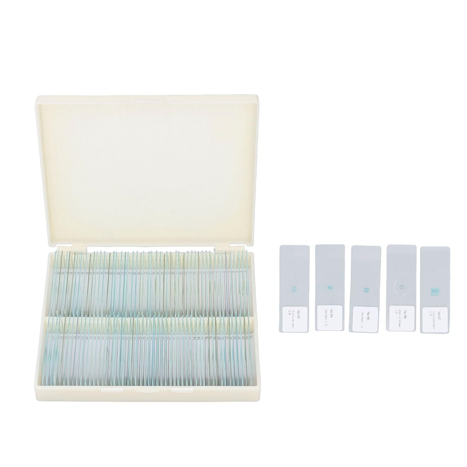 100Pcs Microscope Slides Set, Prepared Microscope Slides with Plants Specimens for Kids Adults Education Science, Glass Plant Microscope Slides
