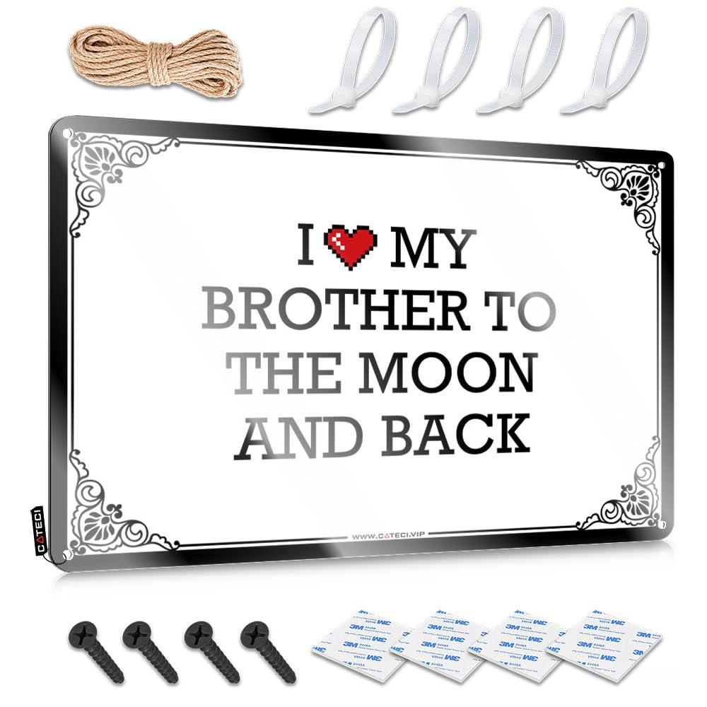 Fzfn Colour New Funny Vintage Signs, Haves Ideas I Love My Brother To The Moon And Back | Farmhouse Basement Bar Decor(30X40cm)
