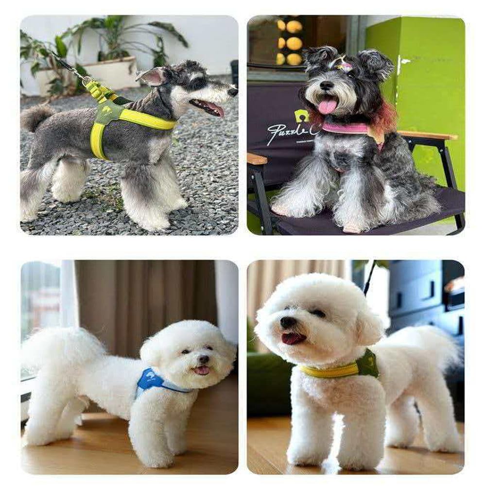 Reflektierendes Hundegeschirr- und Leinen-Set für Bichon Frise, verstellbares Anti-Zug-Geschirr und Leine pink S