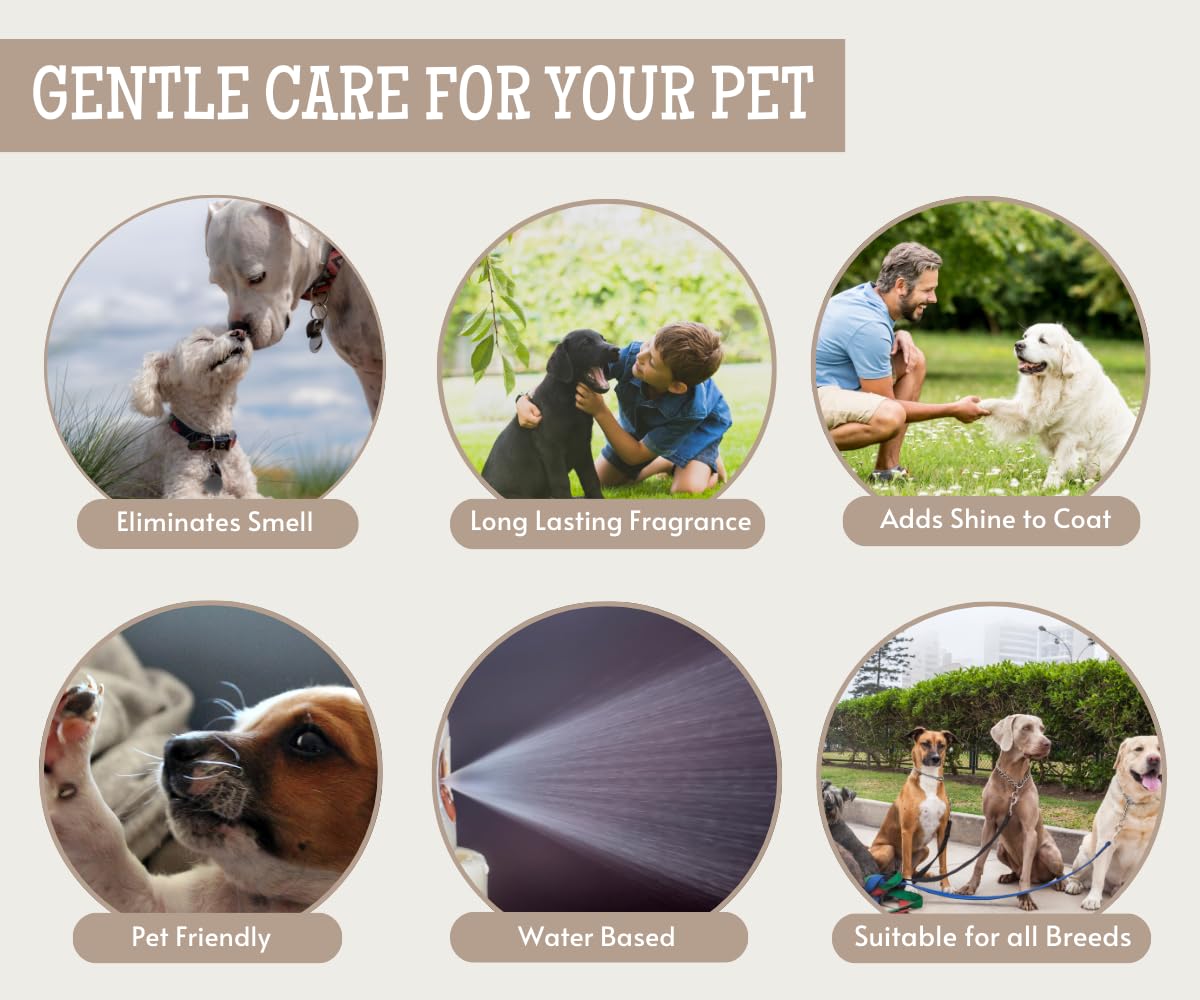 Foodie Puppies 3in1 Combo Gift Pack Perfume for Dogs and Puppies - 200ml Each | Beautiful Musk + Sea Breeze + English Lavender | Extract of Lavender and Aloe-Vera | Daily use, Safe Deodorizer Perfume 4