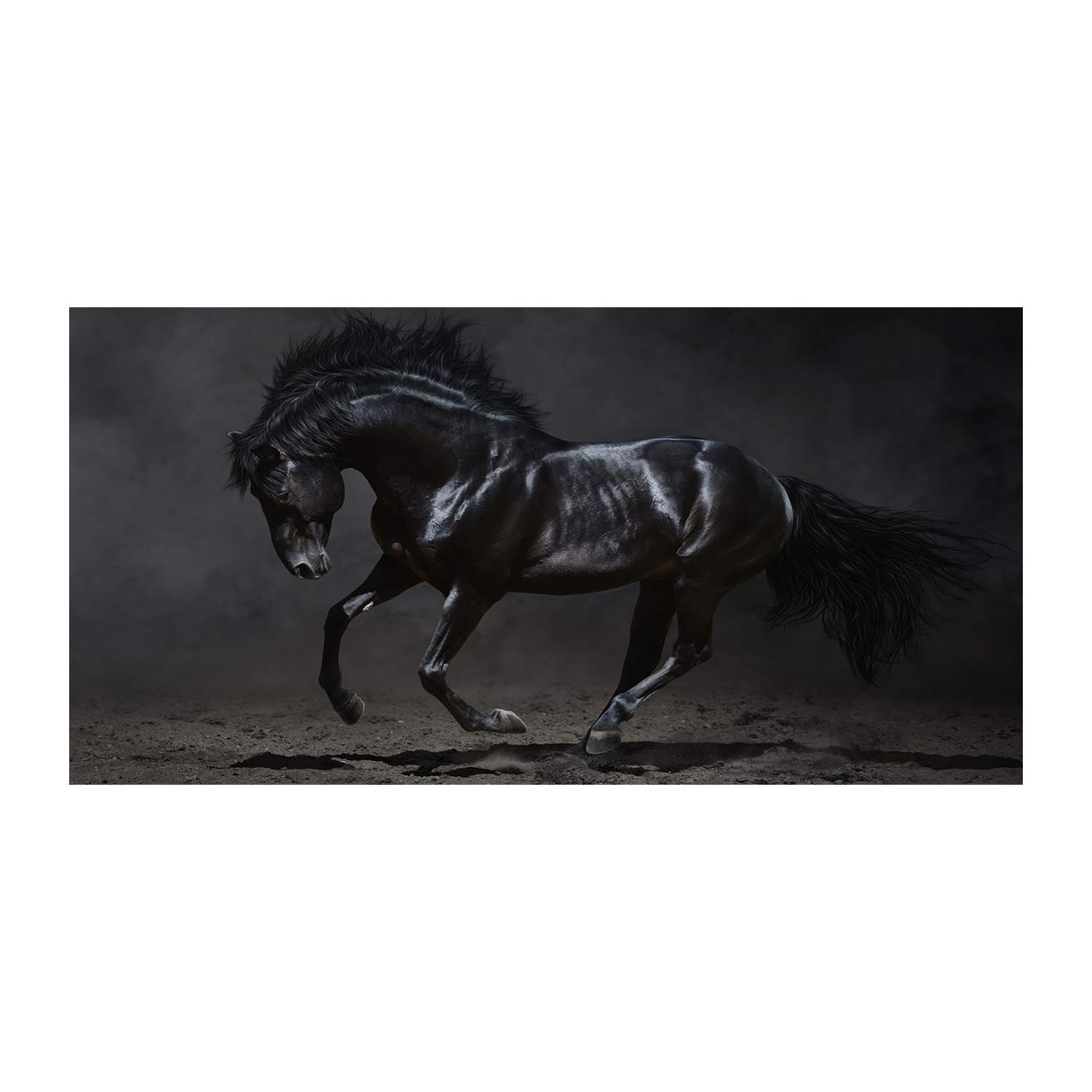 Tableau photo de qualite superieure en verre trempe 120x60 noir motif animaux sauvages