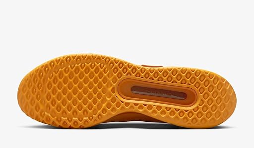 C新品 ナイキ ズーム コート PRO HCテニスシューズ DV3278-700 楽天市場】ナイキ（NIKE）（メンズ）オールコート用 テニス