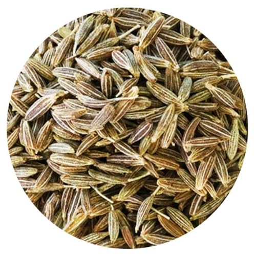 �N�~���V�[�h�z�[�� 50g �C���h�Y �X�p�C�X�J���[ �X�p�C�X spice ���h�� �ؖ쏤�X Cumin seed Whole sujino