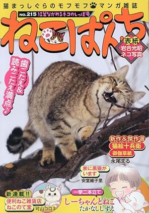 ほしの なつみ　美品　★キジトラ猫の小梅さん 1巻〜26巻　全26冊セット キジトラ猫の小梅さん 26 (26巻) (ねこぱんちコミックス