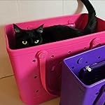 Review Image by Krazy Kitty Lady Krazy Kitty Lady