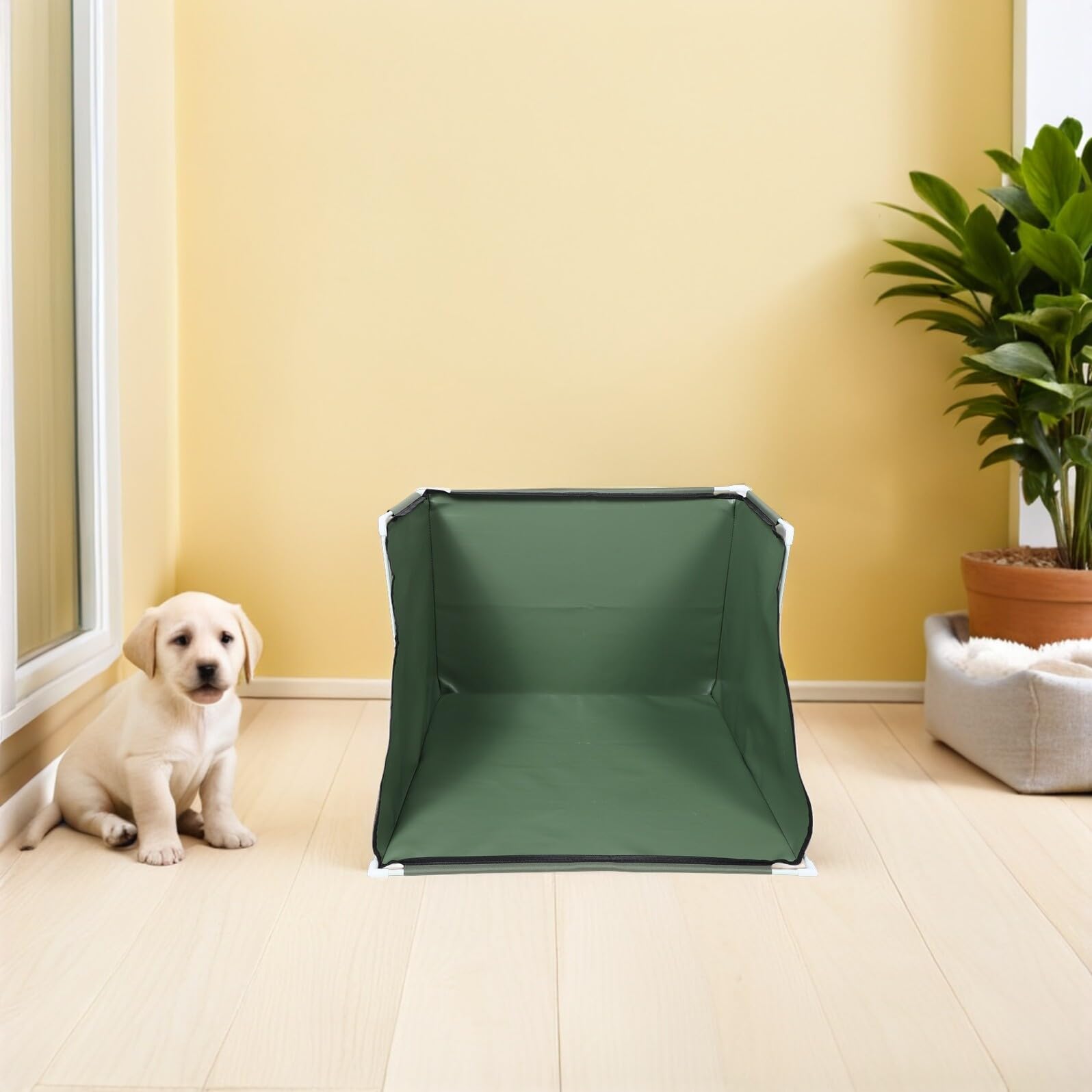 WOONEKY Faltbare Katzenstreu Einhausung mit Hohen Wänden aus PVC Grün | Innenbereich Spritzschutz, Leicht zu Reinigen, für Training bei Welpen und Katzen