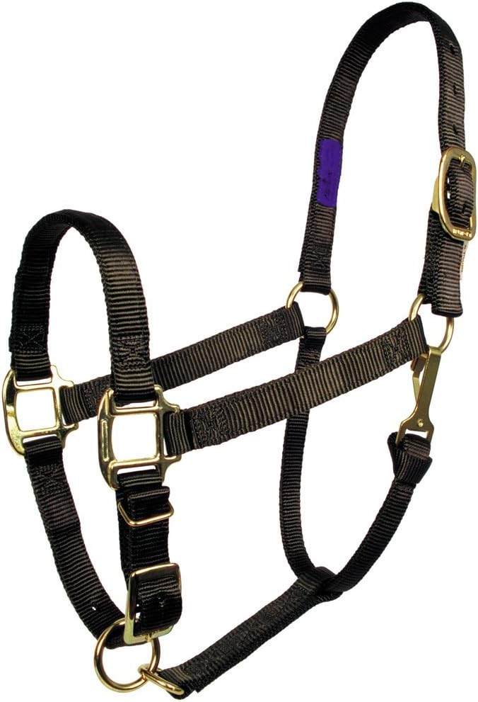 ¾” Adjustable 'Comfort Fit' Nylon Halter | Premium Heavy Duty Horse Halters | Equestrian Equipment | with Throat Snap & Nylon Webbing | Strong, Durable, & Comfortable | Navy, Suckling