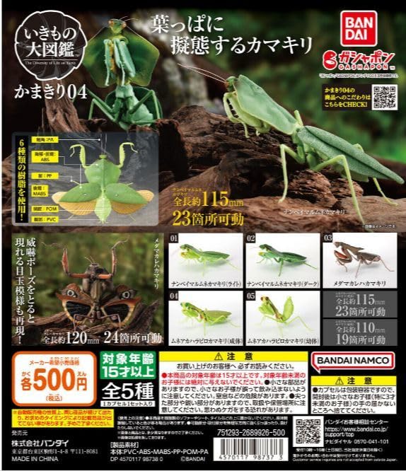 Amazon.co.jp: ナンベイマルムネカマキリ（ライト） いきもの大図鑑