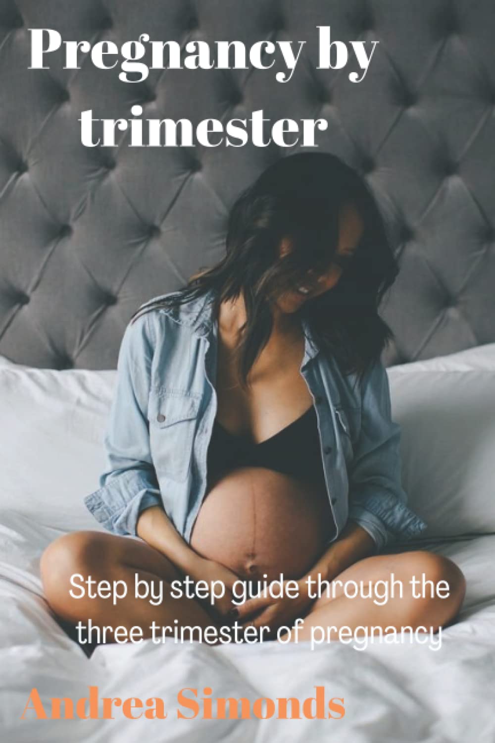 Pregnancy by trimester: Step by step guide through the three trimester of pregnancy