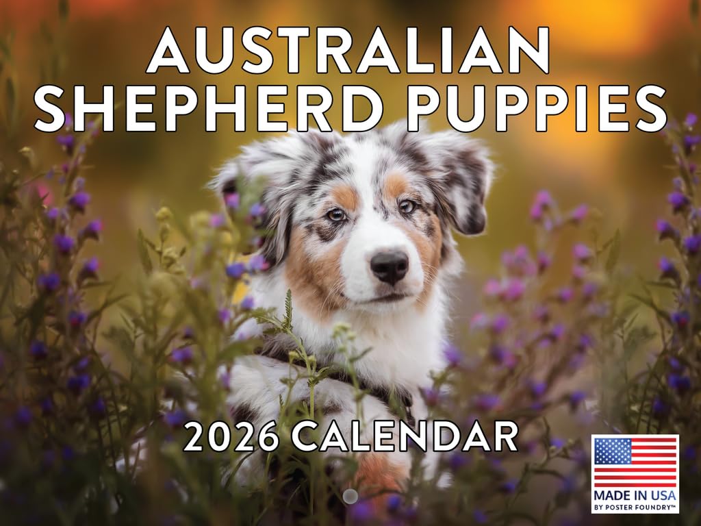 Australian Shepherd Puppy Calendar 2026 Monthly Wall Calender 12 Month | American Made In The USA โ image 1