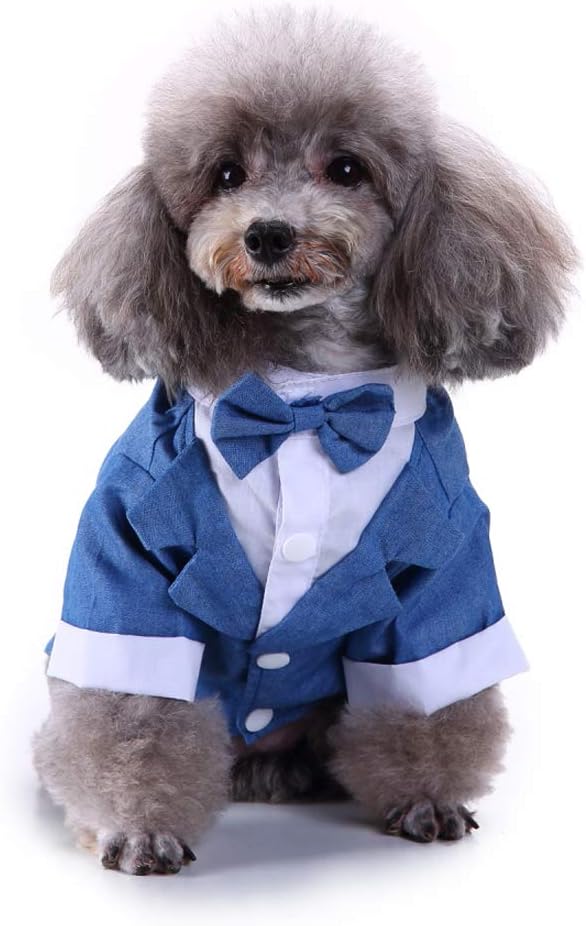 GabeFish Pets Wedding Jackets Suit for Dogs with Bow Tie Puppy Cat Formal Clothes Shirt Tuxedo (Blue, M (Chest 15.3in/39cm)